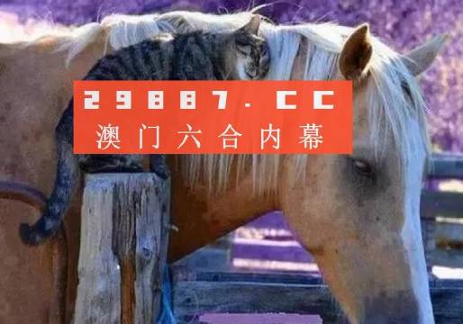 澳門一肖一碼一待一中四不像，探索與解析，澳門一肖一碼一待一中四不像，深度解析與探索