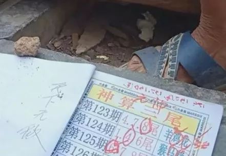 香港中特期期準(zhǔn)資料，深度解析與探索，香港中特期期準(zhǔn)資料深度解析與探索報告