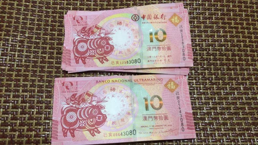 新澳門生肖走勢圖，深度解析與預(yù)測，澳門生肖走勢圖深度解析及預(yù)測報告