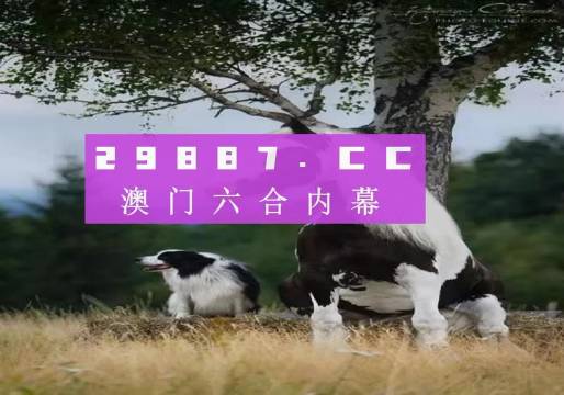 澳門天天空彩官網(wǎng)資料，探索彩票世界的門戶，澳門天天空彩官網(wǎng)資料，彩票世界探索門戶