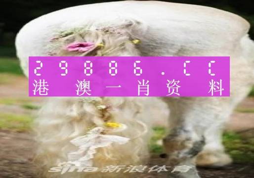 澳門羊了個羊與各大圖庫的資料揭秘，2023年澳門今晚必中一肖一碼永久免費資料庫大解密，澳門羊了個羊與資料庫揭秘，2023年必中一肖一碼永久免費資料大解密