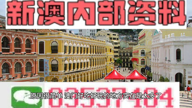 澳門精準(zhǔn)資料大全免費(fèi)，探索與解析，澳門精準(zhǔn)資料大全免費(fèi)解析探索