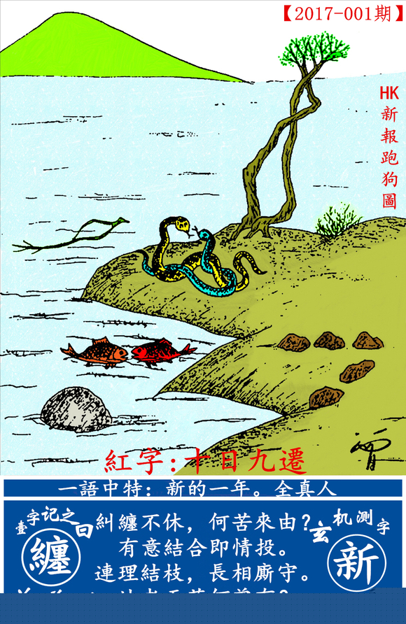探索全新版跑狗圖，7777788888的魅力與策略，探索全新版跑狗圖，7777788888的魅力與攻略解析
