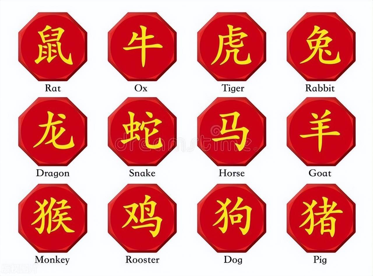 新澳特碼，羊?；⒏鲾?shù)10——揭秘背后的數(shù)字奧秘，揭秘新澳特碼數(shù)字奧秘，羊牛虎各數(shù)背后的秘密