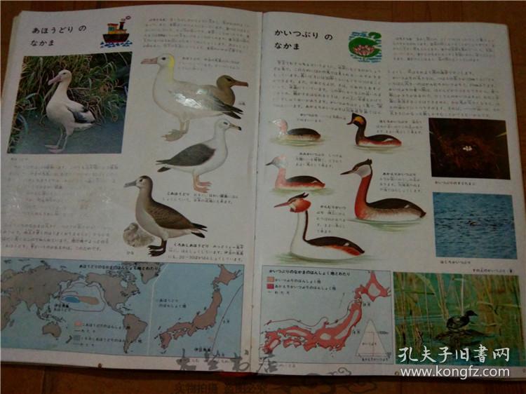 今日正版跑狗圖分享，探索7777788888跑狗圖的魅力，今日正版跑狗圖分享，探索魅力十足的777778跑狗圖