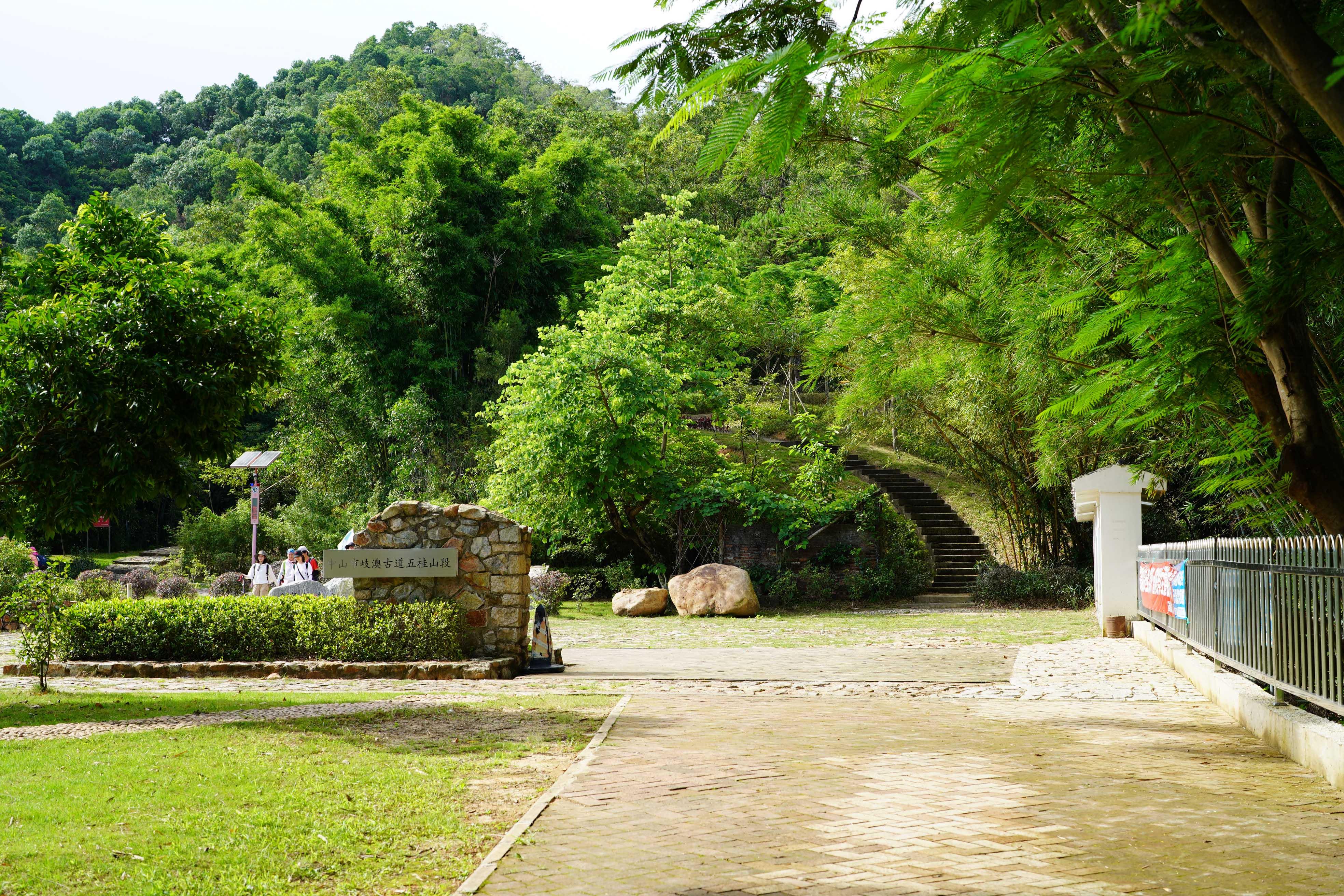 新澳門彩生肖走勢圖，探索與解讀彩票背后的秘密，探索解讀新澳門彩生肖走勢圖，彩票背后的秘密揭秘