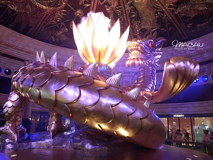 澳門(mén)無(wú)錯(cuò)七尾，探索與解析，澳門(mén)無(wú)錯(cuò)七尾，深度探索與解析