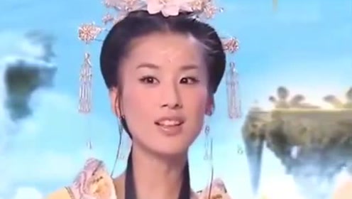 曾道道人資料免費大全，深度探索與解析，曾道道人資料深度解析與免費大全探索