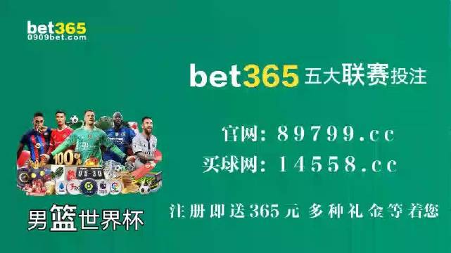 王中王中特馬王中王精準(zhǔn)資料解析與SEO優(yōu)化策略探討，王中王中特馬精準(zhǔn)資料解析與SEO策略探討