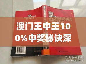 新澳門(mén)王中王期期中，探索與解析，新澳門(mén)王中王期期中，深度探索與解析
