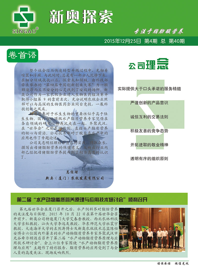2025新澳正版資料查詢指南，2025新澳正版資料查詢手冊