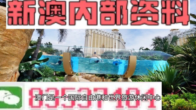新澳的資料去哪里找——全面指南，新澳資料全攻略，尋找資料的途徑與指南