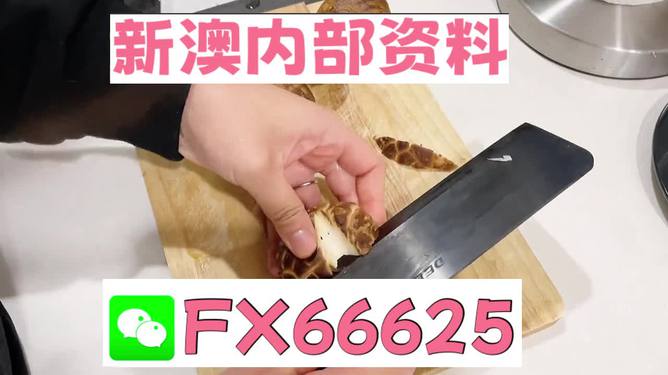 澳門九點(diǎn)半9點(diǎn)半網(wǎng)站——探索其魅力與優(yōu)勢(shì)，澳門九點(diǎn)半網(wǎng)站，魅力與優(yōu)勢(shì)探索