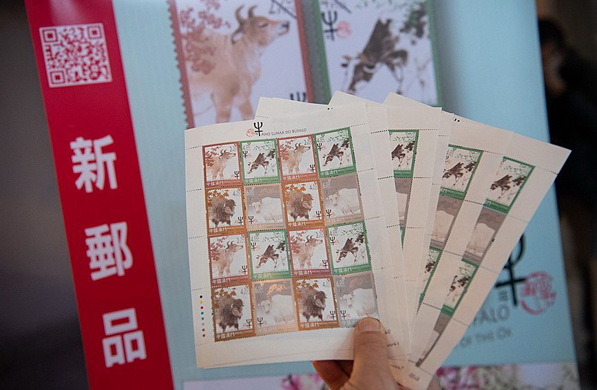 澳門值日生肖600圖庫與八百圖庫開獎，探索生肖圖庫的魅力與奧秘，澳門生肖圖庫開獎揭秘，探索值日生肖600圖庫與八百圖庫的魅力與奧秘