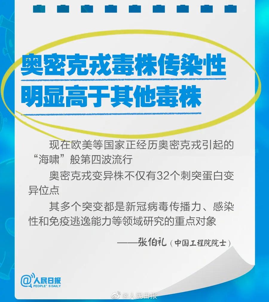 新奧2025最新資料大全，準(zhǔn)確資料全面解析，新奧2025最新資料大全，全面解析準(zhǔn)確資料一網(wǎng)打盡
