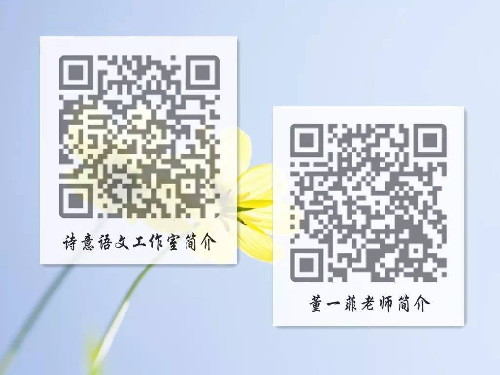 一碼一肖一特一，揭秘背后的秘密與獨特之處，揭秘一碼一肖一特一的獨特之處與背后秘密