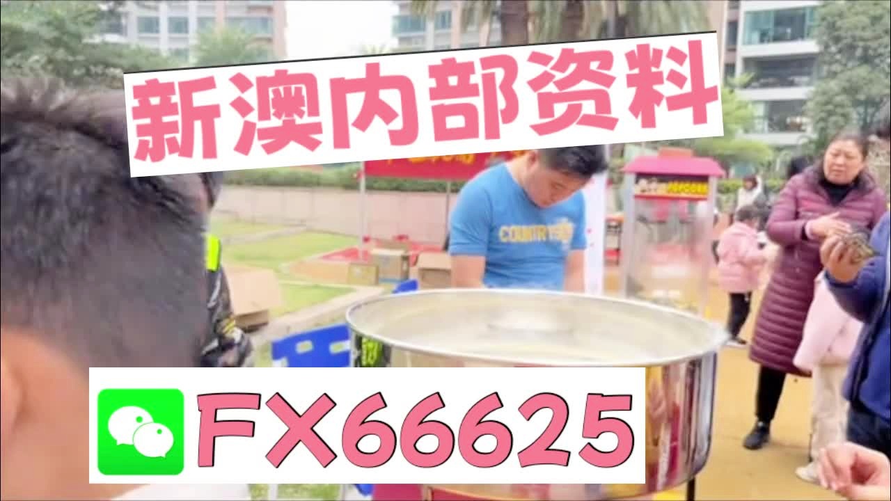 新澳2025芳草地資料大全，深度解析與前瞻性展望，新澳2025芳草地，資料深度解析與前瞻性展望