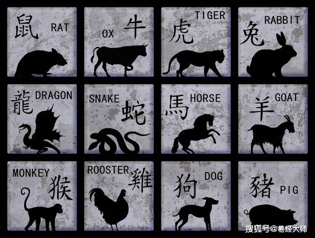 新澳特碼，羊?；⒏鲾?0的獨特魅力與解析，新澳特碼，羊牛虎各數10的獨特魅力深度解析
