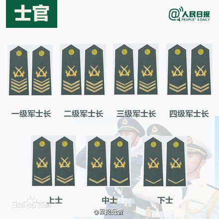 全球各國軍士長軍銜對照表及其重要性，全球各國軍士長軍銜對照表，揭示其重要性