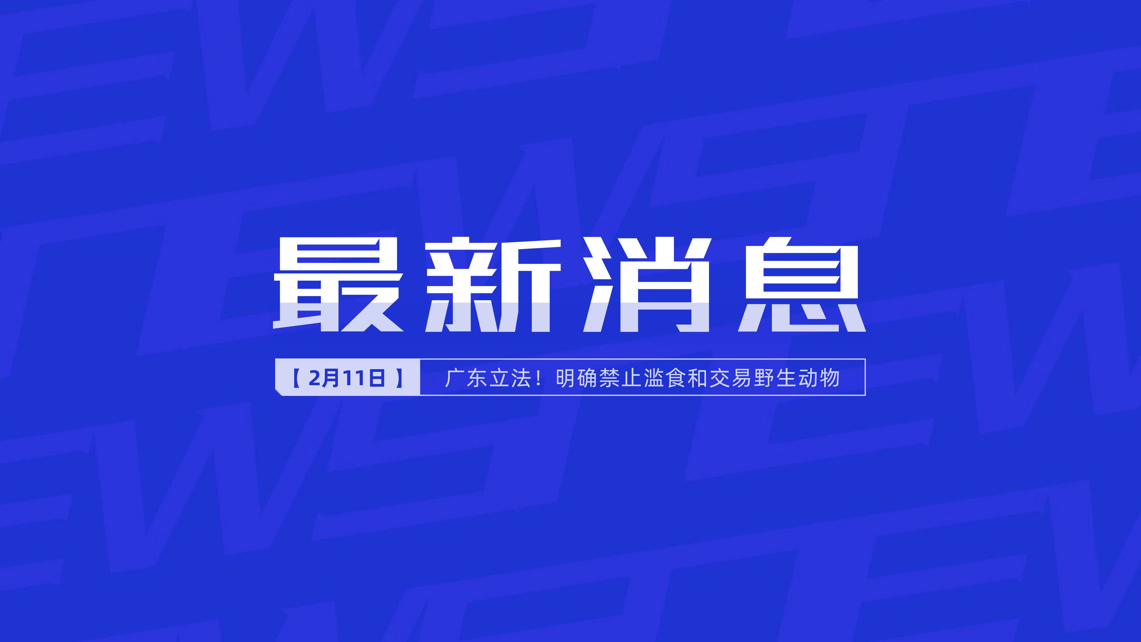 新聞最新新聞，掌握時(shí)事熱點(diǎn)，洞悉世界動(dòng)態(tài)，時(shí)事熱點(diǎn)速遞，掌握全球最新動(dòng)態(tài)新聞