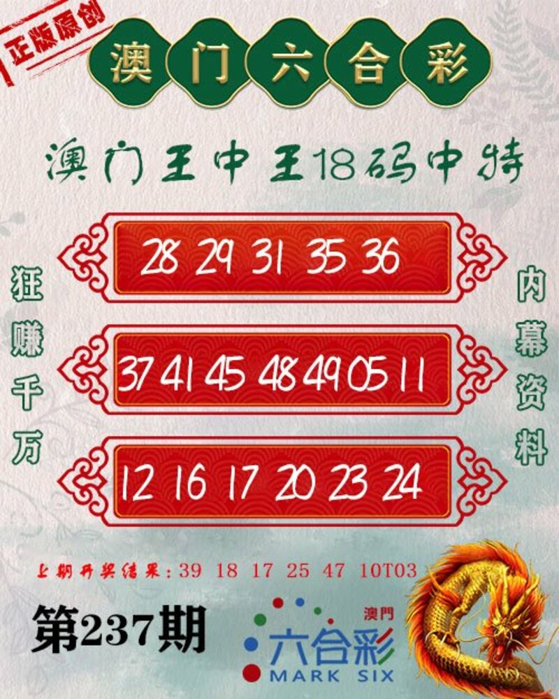 新澳門王中王期期中，探索與解析，新澳門王中王期期中，深度探索與解析