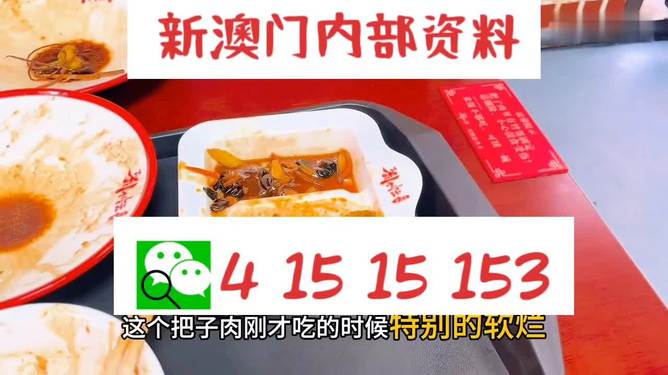 澳門王中王六碼新澳門，探索與解析，澳門王中王六碼新澳門，深度探索與解析
