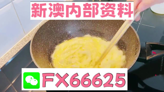 澳門九點(diǎn)半9點(diǎn)半網(wǎng)站——探索與體驗(yàn)，澳門九點(diǎn)半網(wǎng)站，探索與體驗(yàn)之旅
