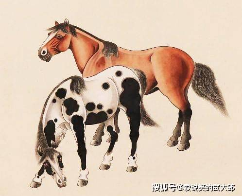 香港四不像一肖生肖圖，揭秘背后的神秘文化，香港四不像一肖生肖圖，神秘文化背后的揭秘