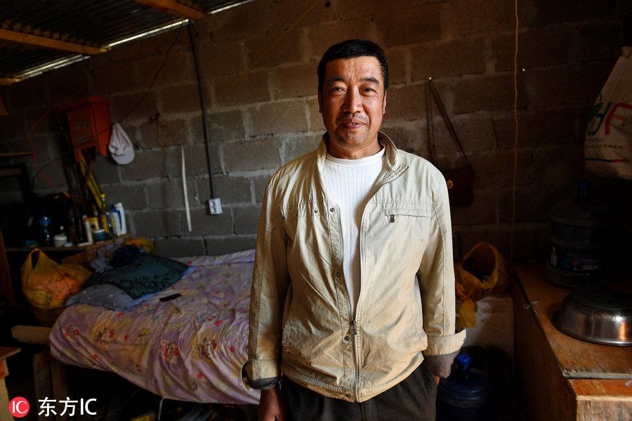 博科圣地組織，深度解析與理解，博科圣地組織深度解析與探究