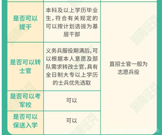 士官直招與義務(wù)兵的區(qū)別，深入了解軍隊招募制度，直招士官與義務(wù)兵招募制度深度解析，軍隊招募制度詳解
