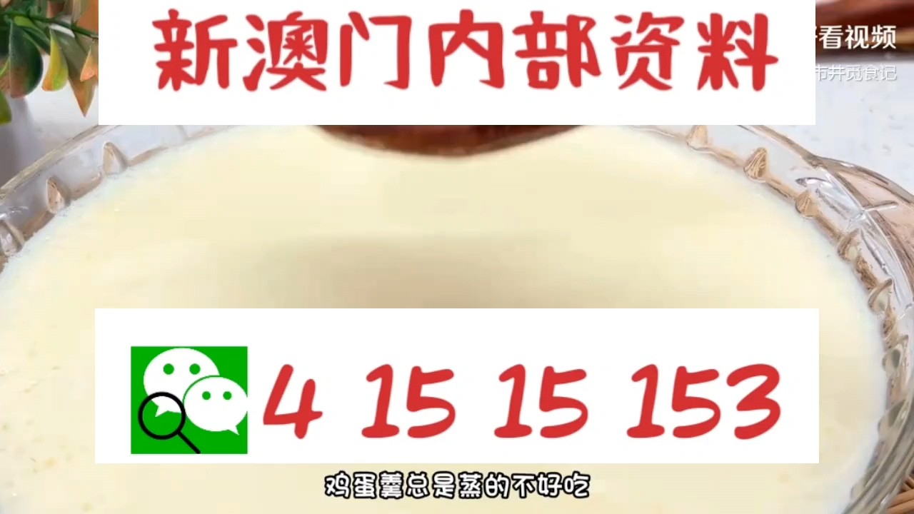 新澳門中特網(wǎng)中特馬，探索與解析，澳門中特馬探索與解析指南
