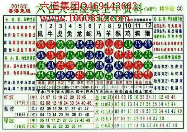 揭秘2024十二生肖49碼表——完整指南，揭秘十二生肖49碼表全攻略，2024年最新版指南