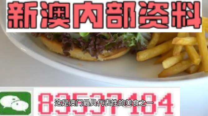 新澳2024生肖最新資料解析與預(yù)測，新澳2024生肖解析與預(yù)測報(bào)告