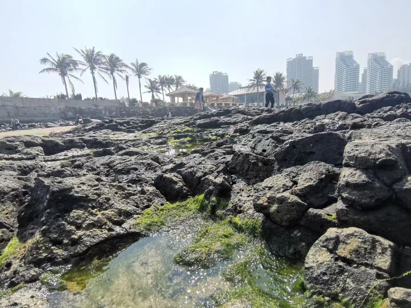 解放海南島電視劇全集下載，探尋30集完整劇情，解放海南島電視劇全集下載，探尋完整的30集劇情探索