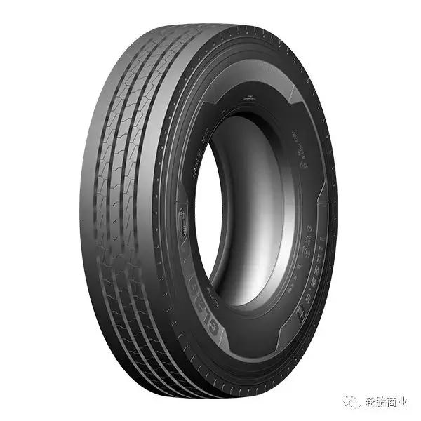 王中王295期指一生肖，揭秘生肖運勢與預測背后的秘密，揭秘生肖運勢預測，王中王295期生肖運勢背后的秘密探索