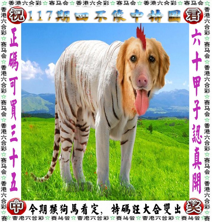 王中王四不像一肖論壇，探索神秘論壇的世界，王中王四不像一肖論壇，神秘論壇世界的探索之旅