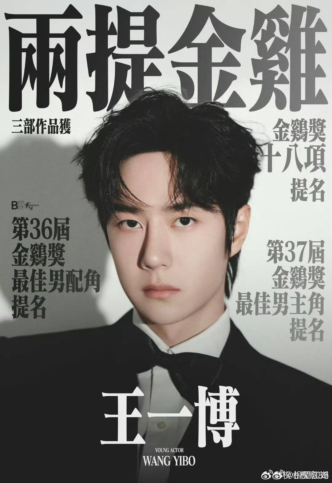 王中王一肖中特論特，深度解析與SEO洞察，深度解析王中王一肖中特論特與SEO洞察