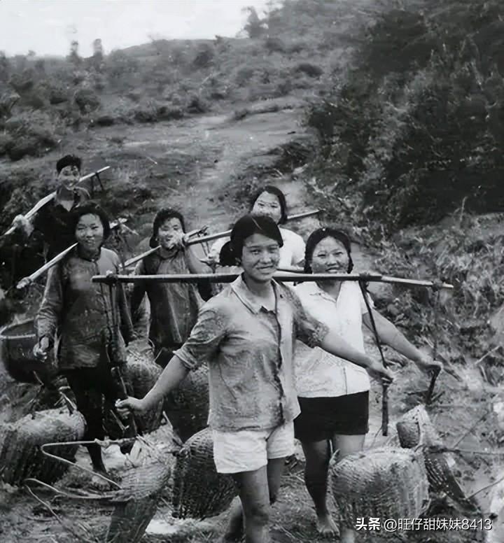 關(guān)于49圖庫(kù)圖片資料的專(zhuān)業(yè)解析與探索，49圖庫(kù)圖片資料深度解析與探索
