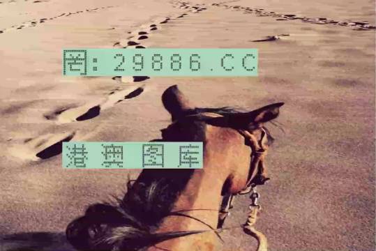香港特馬資料王中王24期，深度解析與探索，香港特馬資料王中王深度解析與探索，第24期探索之旅