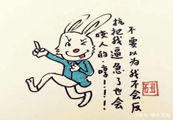 一肖不中賠多少倍，深度解析與策略建議，一肖不中賠倍深度解析及策略建議