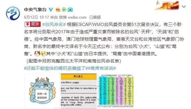 新澳門必中三肖三碼三期必開劉伯，揭秘彩票背后的秘密與策略，揭秘彩票背后的秘密與策略，劉伯的新澳門三期必開三肖三碼預(yù)測技巧