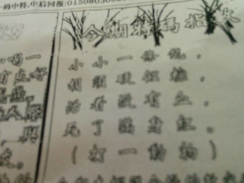 劉伯溫特一肖王中王，傳奇人物與生肖之王的神秘結(jié)合，劉伯溫生肖傳奇，傳奇人物與生肖之王的神秘交融