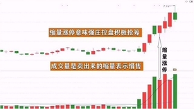 王中王一肖平碼，揭秘背后的故事與SEO策略，王中王一肖平碼背后的故事與SEO策略揭秘