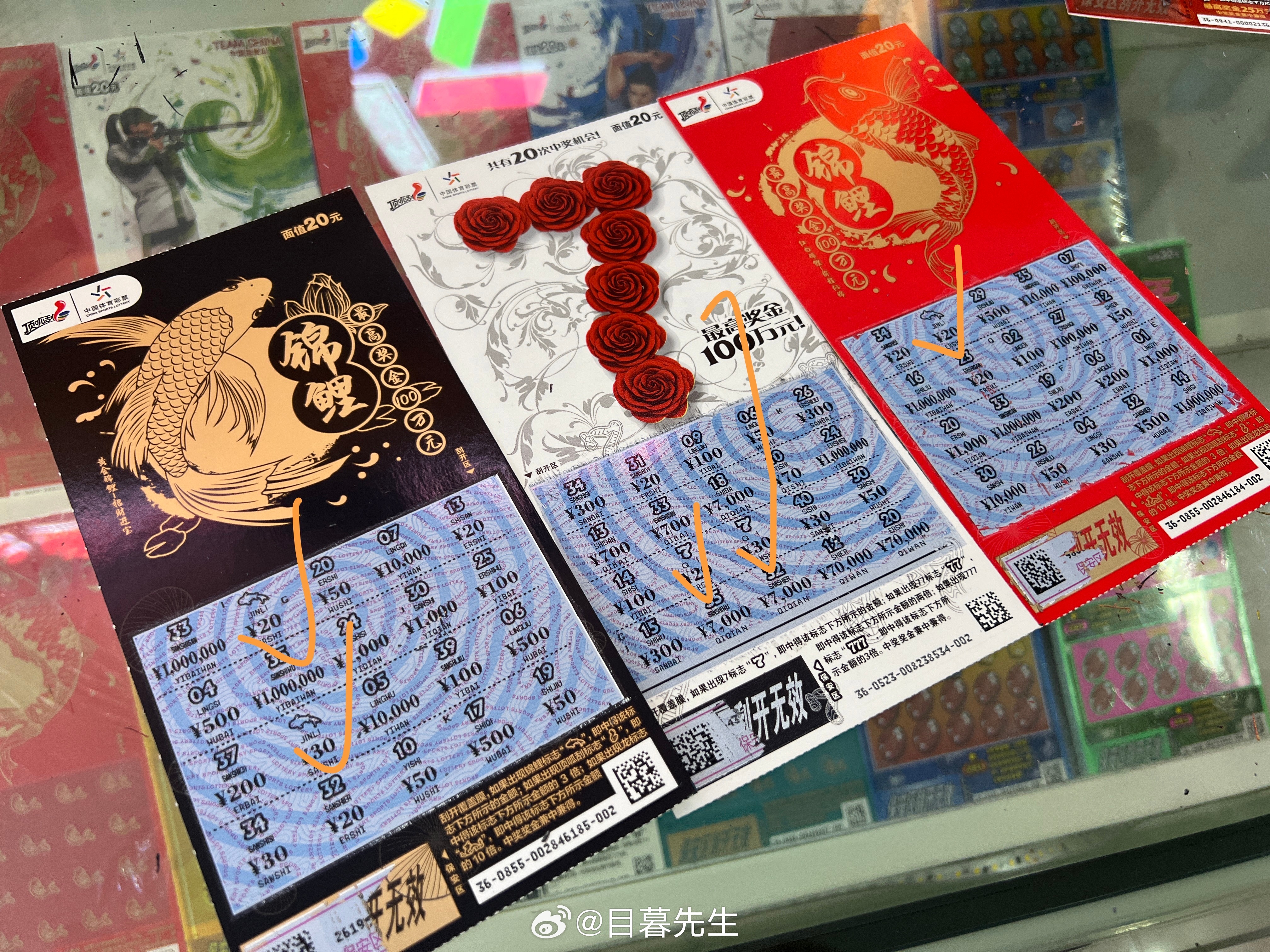 全年王中王一肖中特，深度解析與預(yù)測，全年王中王一肖深度解析與預(yù)測，揭秘特肖趨勢
