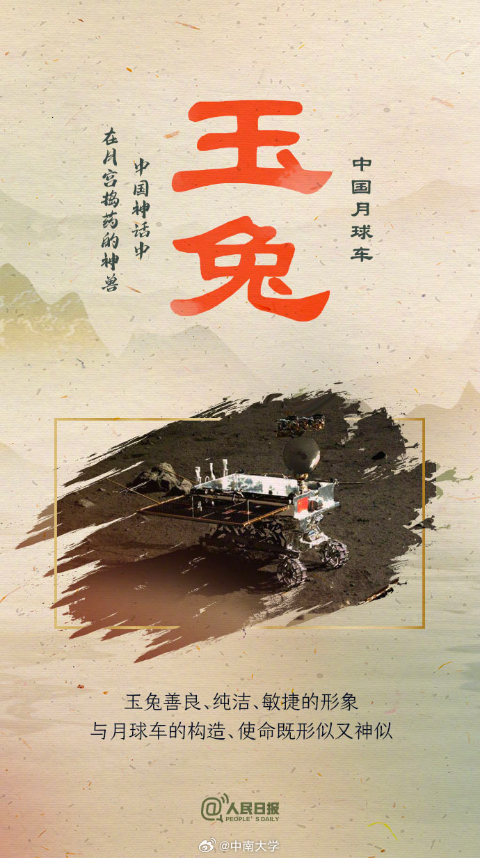 揭秘王中王平特一肖免會公開的奧秘，王中王平特一肖免公開揭秘奧秘