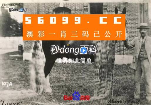 澳門(mén)王中王心水王中王，探索與解析，澳門(mén)王中王心水奧秘，深度探索與解析