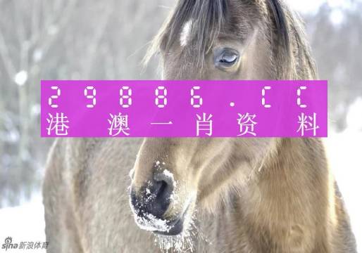 澳門一肖一碼背后的故事，一個關(guān)于精準預(yù)測與傳奇的揭秘，澳門一肖一碼傳奇背后的精準預(yù)測與揭秘之旅