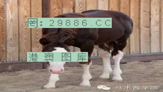 揭秘446999一肖中特馬之秘密，掌握中獎玄機！，揭秘特馬中獎玄機，446999一肖中的秘密大揭秘！