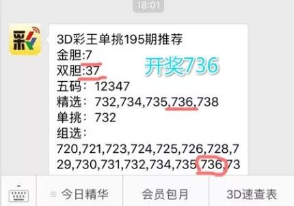 王中王一肖中特4993，深度解析與探索，王中王一肖中特4993深度解析與探索報(bào)告