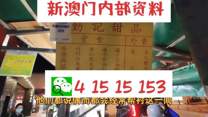 新澳門單雙肖期期，探索與解析，澳門單雙肖期期探索與解析指南